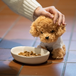 Personalised Poodle Soft Toy