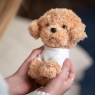 Personalised Poodle Soft Toy